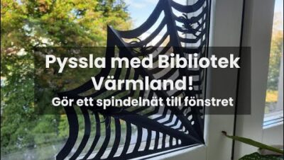 spider web diy gor spindelnat